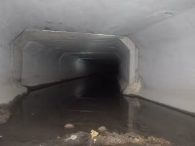 Apatía con limpieza del Megadrenaje