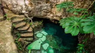 ¿Y si descubres un cenote en tu terreno en Campeche? Conoce la nueva Ley de Expropiación y tus derechos