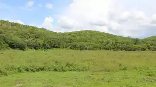 Ejido Crucero San Luis, en Hopelchén, renueva su convenio por tercera vez con Conafor para proteger 2 mil hectáreas