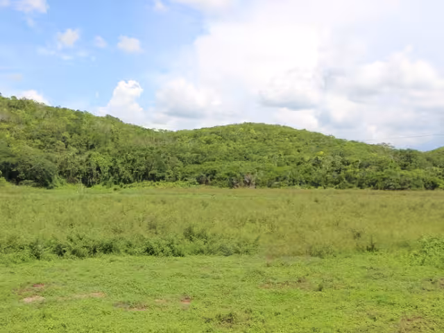 El ejido Crucero San Luis conserva 2,000 hectáreas bajo el Programa de Servicios Ambientales de la Conafor.