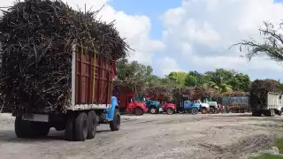 Cañeros buscan mano de obra para zafra 2024-2025