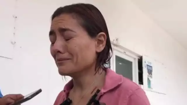 Mariana Rubio Arrevillaga condenó el asesinatos de sus animales de compañía en Playa del Carmen