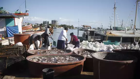 Hombres de mar tendrán que prolongar sus jornadas por baja captura Hombres de mar tendrán que prolongar sus jornadas por baja captura