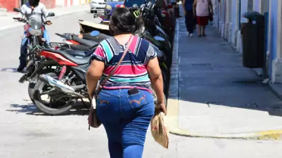 Buscan enseñar hábitos alimenticios saludables. Buscan enseñar hábitos alimenticios saludables.