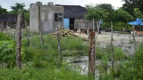 Colonos sufren falta de regularización en su colonia en Quintana Roo Colonos sufren falta de regularización en su colonia en Quintana Roo