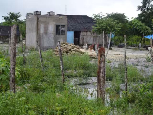 Colonos sufren falta de regularización en su colonia en Quintana Roo