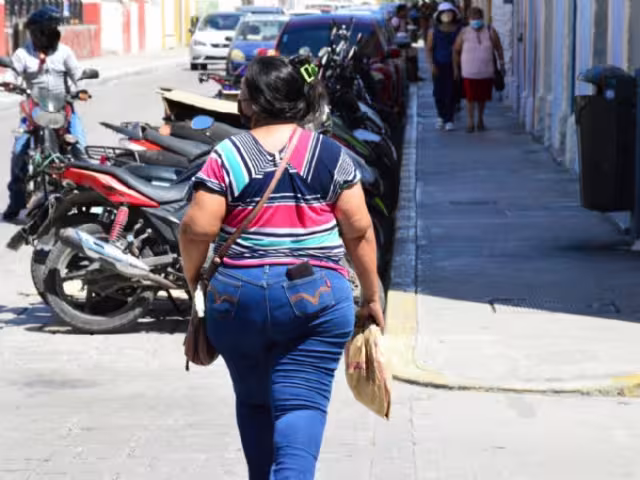 Buscan enseñar hábitos alimenticios saludables.