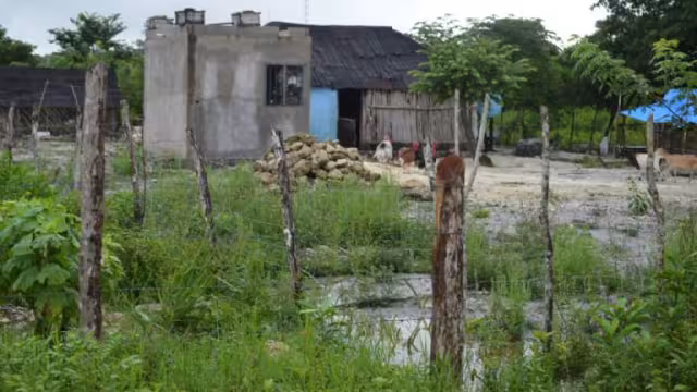 Colonos sufren falta de regularización en su colonia en Quintana Roo