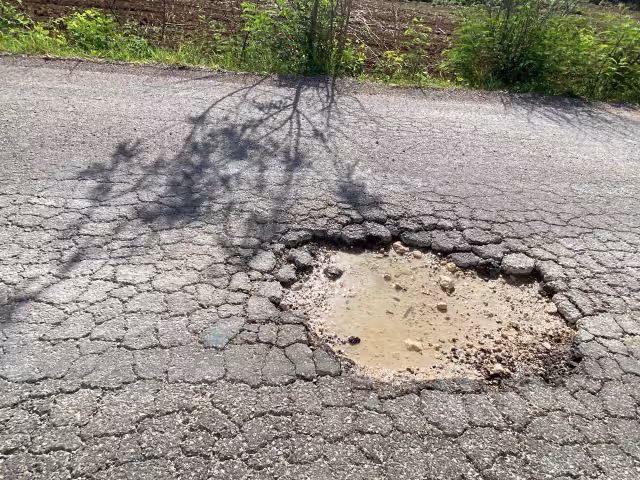 Actualmente el Gobierno cuenta con 290 millones de pesos