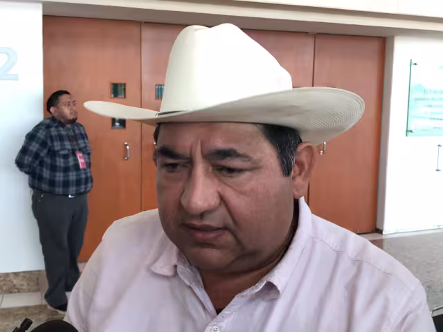 Caso de gusano barrenador en Candelaria controlado según protocolo sanitario