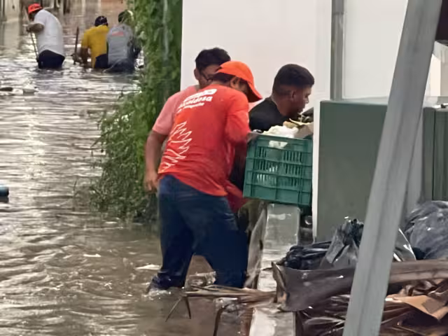 La SSA intensifica esfuerzos del 8 al 14 de julio en comunidades afectadas por el huracán Beryl, con fumigaciones y programas de salud.