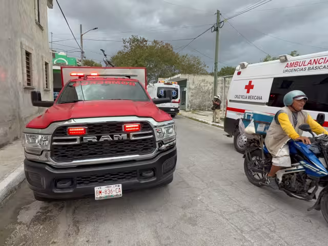 Hombre muere tras ataque de abejas en su casa en Vista Hermosa, Campeche