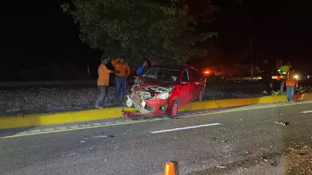 Una vaca que trató de atravesar el periférico de la ciudad, ocasionó un accidente vial.