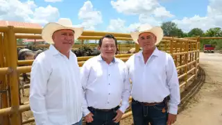 Modernizan el campo yucateco con inversión histórica y apoyo al hato ganadero 