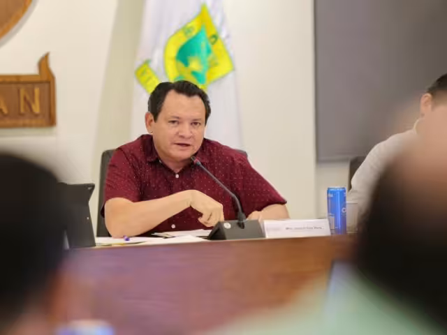 Gobernador de Yucatán, Joaquín Díaz Mena