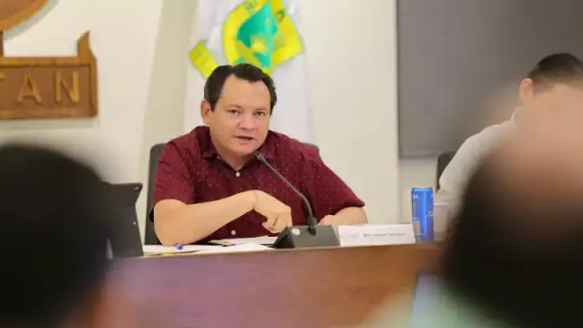 Gobernador de Yucatán, Joaquín Díaz Mena