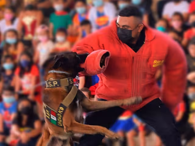 Baggio, al igual que otros elementos de la unidad K9 fueron donados por la Embajada de los Estados Unidos