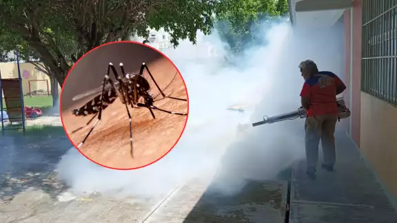 El Distrito Sanitario para el Bienestar número Tres reporta siete casos confirmados de dengue El Distrito Sanitario para el Bienestar número Tres reporta siete casos confirmados de dengue