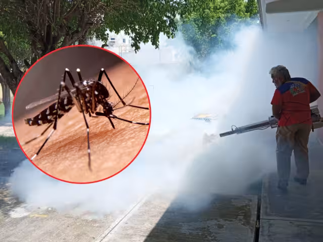 Este 13 de agosto, Salud refuerza control larvario en colonias de riesgo en Campeche