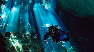 Dos espeleobuzos localizan fragmentos de huesos de un posible felino a casi 50 metros de profundidad