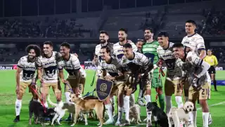 ¡Un 11 muy perro! Pumas y Brigada Animal promueven adopción en CU