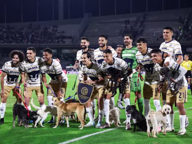Pumas saltó al terreno de juego con varios perros