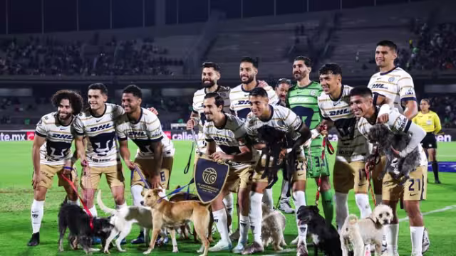 Pumas saltó al terreno de juego con varios perros