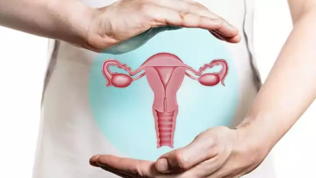 Prevención del cáncer cervicouterino, prioridad en Campeche