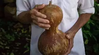 Peligra el "yeti yucateco": Introducción de plásticos desechables amenazan su supervivencia 