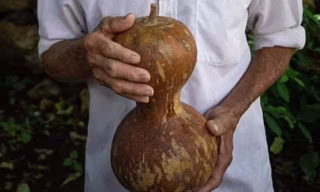 En la actualidad se compran más como adornos o curiosidades para restaurantes y tiendas de artesanías