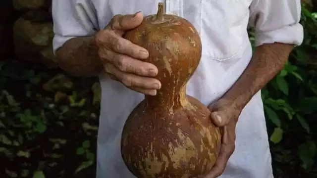 En la actualidad se compran más como adornos o curiosidades para restaurantes y tiendas de artesanías