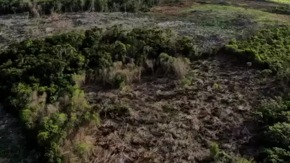 La Profepa ha instruido la intensificación de los operativos, así como el cierre de terrenos