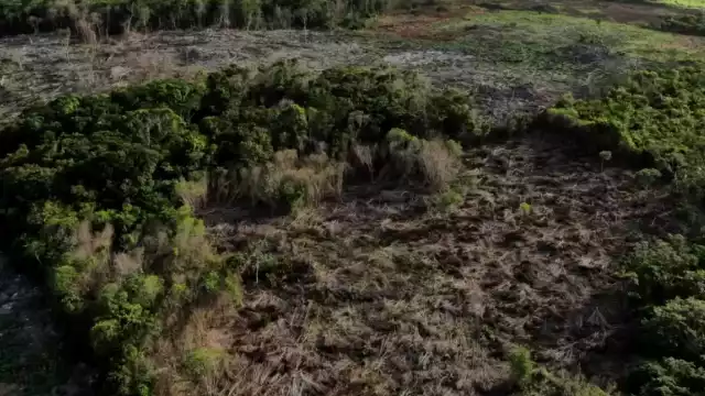 La Profepa ha instruido la intensificación de los operativos, así como el cierre de terrenos