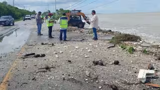 Autoridades reportaron deslaves carreteros ligeros y daños a palmeras ornamentales en Sabancuy.