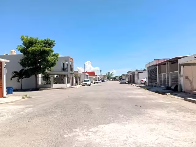 Vecinos de Chetumal aseguran haber visto un tigrillo que se come a las mascotas