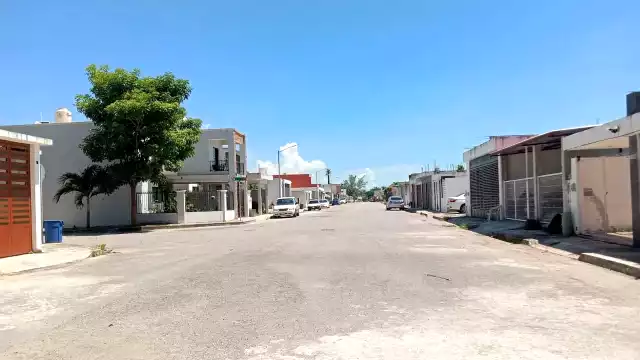 Vecinos de Chetumal aseguran haber visto un tigrillo que se come a las mascotas