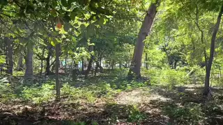 Semarnat recibe solicitud para habilitar corredor turístico peatonal en Isla Aguada