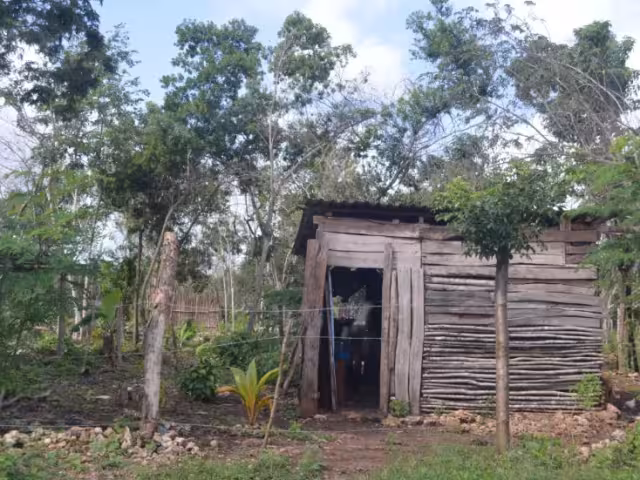 Colonias irregulares en Chetumal llenas de "diablitos" denuncian cortes de luz por la CFE