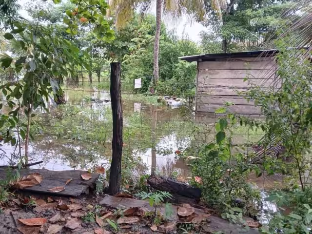 El exceso de humedad podría provocar enfermedades y la reproducción de mosquitos