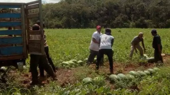 En el sitio, productores podrán vender a precios justos En el sitio, productores podrán vender a precios justos