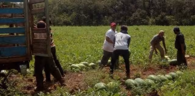 En el sitio, productores podrán vender a precios justos