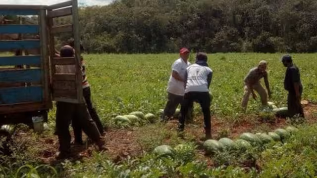 En el sitio, productores podrán vender a precios justos