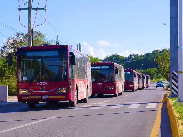 El sistema Ko'ox está dando un paso clave para modernizar el transporte en Campeche