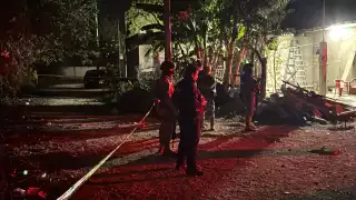 Restos humanos son hallados en colonia irregular de Cancún