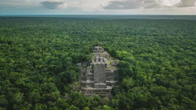 Calakmul, en Campeche, es una de las selvas tropicales más grandes de América y es considerada el segundo pulmón verde del continente.