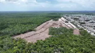 Autoridades de Cancún aprueban la deforestación de 18.9 hectáreas