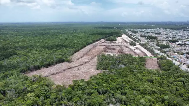 En casi un kilómetro se observan nombres al frente de lo que serían los predios, predominantemente de mujeres