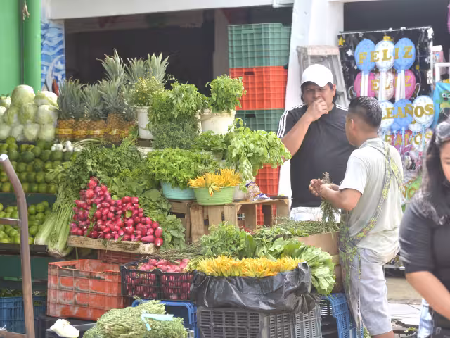 Azúcar, carne, jitomate, aguacate y fruta son señalados por amas de casa como los que más han elevado sus costos