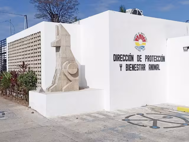 Internautas dieron a conocer los hechos en las redes sociales, por lo que personal acudió a los domicilios de los infractores