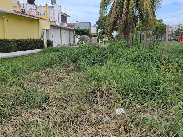 Fraccionamiento Mundo Maya, atrapado entre el abandono y el riesgo sanitario